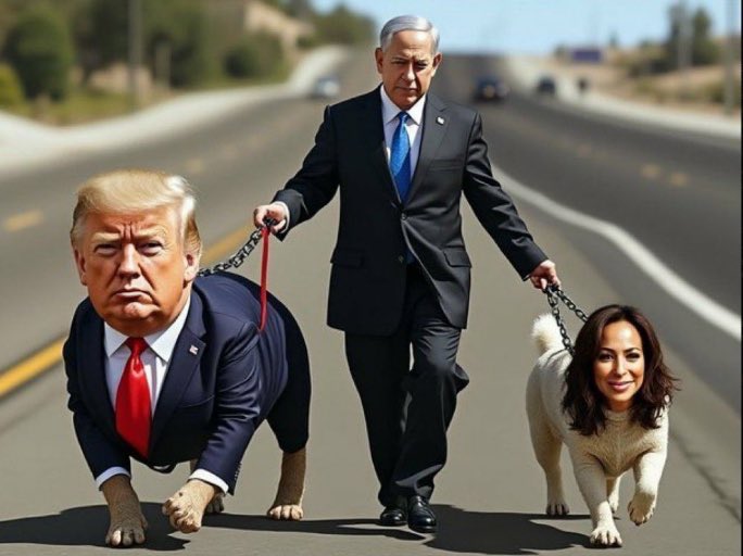 Shafqat4802's tweet photo. @KamalaHarris https://t.co/B8XSHbIRlE