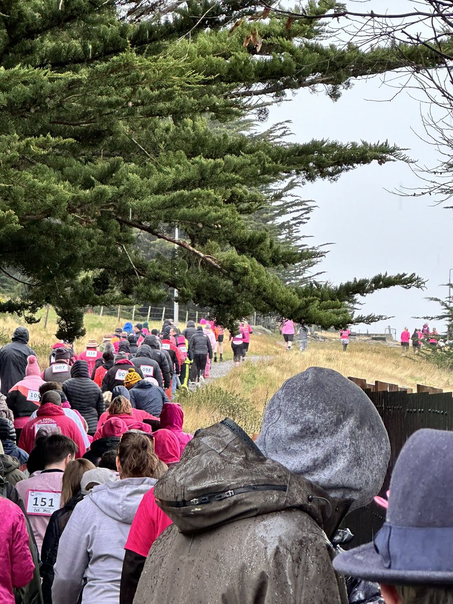 GHFalklands's tweet photo. Her Excellency the Governor and the @GHFalklands team braved the wet weather conditions to take part in the annual 5km Pink Walk, raising money for Cancer Research UK and the Cancer Support and Awareness Trust FI. 💗
#Falklands #PinkWalk https://t.co/yhgfeiQs3r