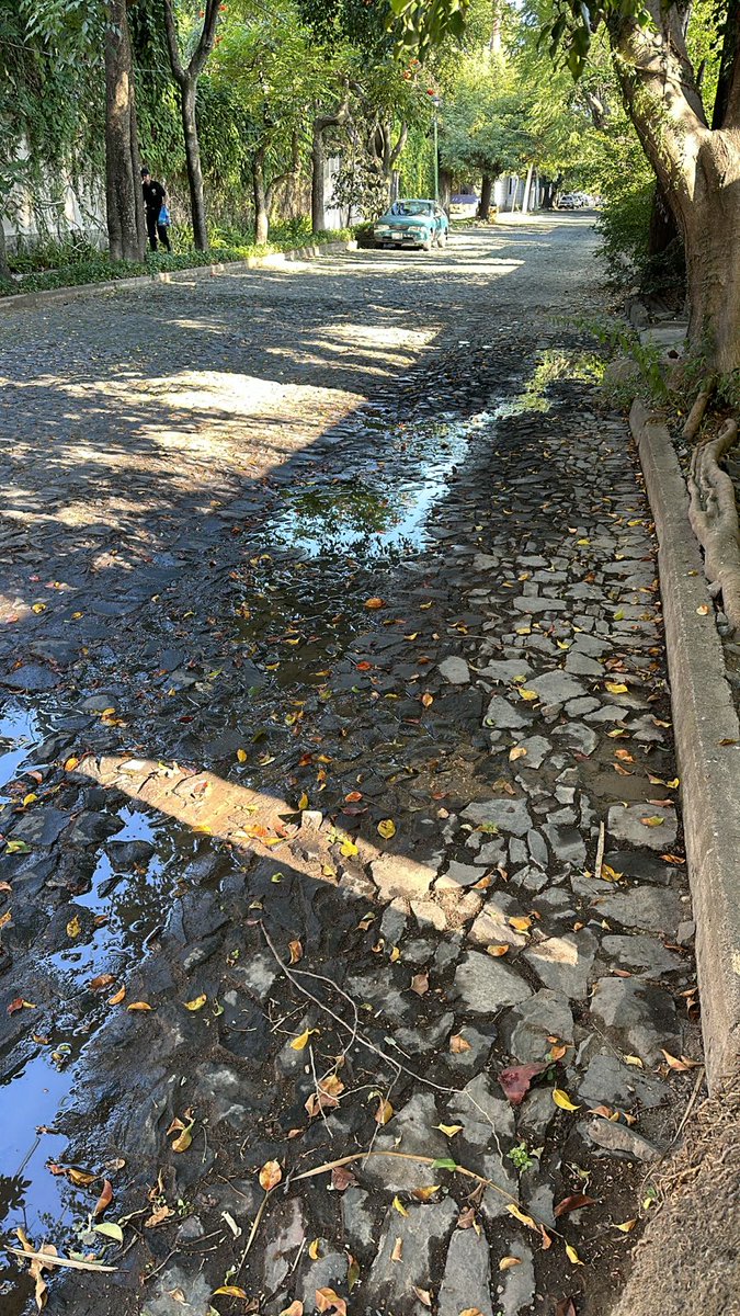 BraniffRic22667's tweet photo. @siapagdl fuga de agua limpia en calle 5 #85 entre Av. B y Av. C, col. Ecología colonia Seattle,  Zapopan favor de atender. https://t.co/aIbFlP8lQE