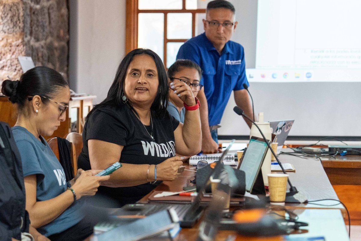 WildAid Latinoamérica tweet media