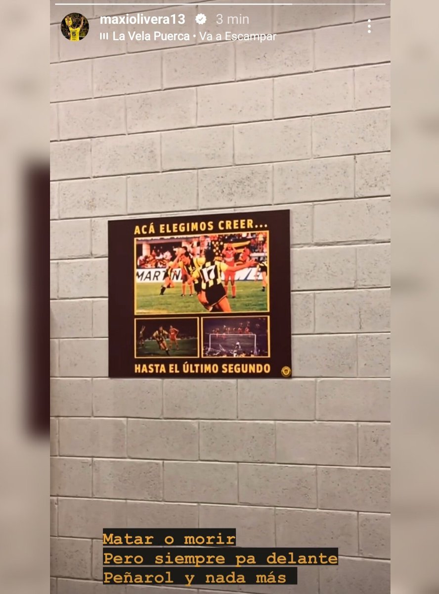 Me volví a ilusionar.