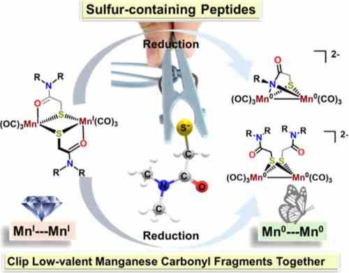 InorgChem's tweet photo. Le et al. demonstrate that peptide-like thiocarboxamide ligands clip manganese carbonyl Mn(CO)3 fragments together in reduction-level-dependent structural forms. Please take a look at our #TOCoftheWeek: https://t.co/Phsf7FrOUR https://t.co/TzJOMczZEm