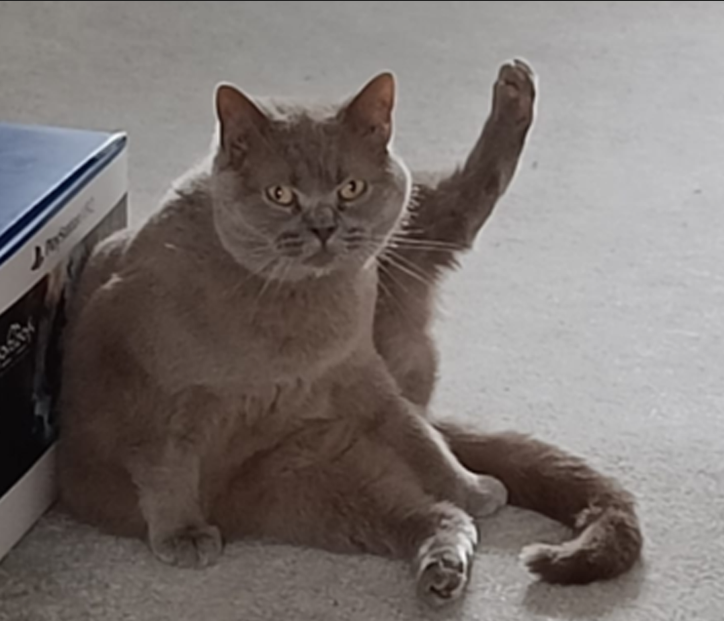 Why do I enjoy making these so much! haha! WIP!