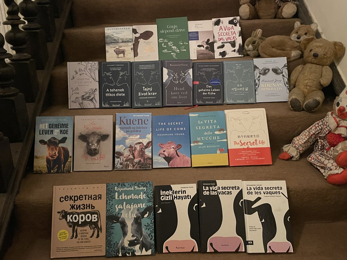 Pamani mūsējo - latviešu valodā? Rozamunda Janga (Rosamund Young) GOVJU SLEPENĀ DZĪVE, ilustrējusi un grāmatu ietērpusi jaunā, talantīgā māksliniece Ieva Putniņa. Mūsu e-veikalā alis.lv katrs gaidīts 24/7