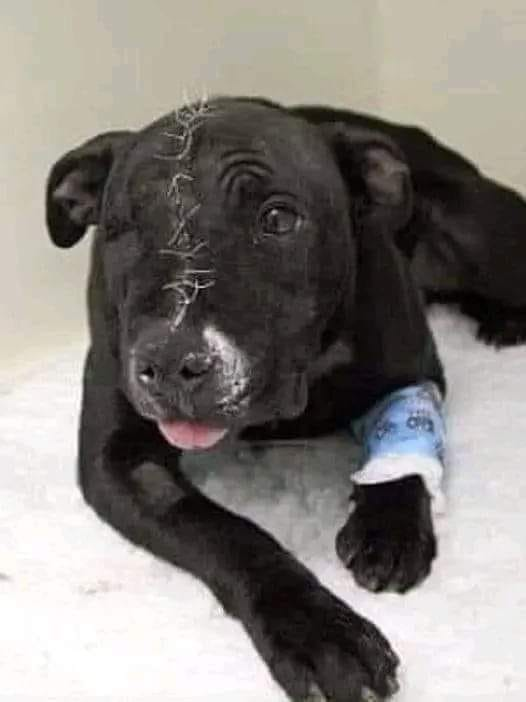 I Am Very Sick Please Pray For Me 💔😢🙏