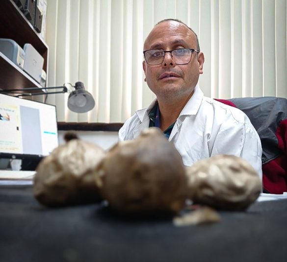 #28Oct Día del Ingeniero

No es concha de ajo: es ajo negro

Edgar Catarí, ingeniero químico, produce ajo negro, experimento gastronómico e incluso medicinal que apenas ahora se asoma en Venezuela.

✍️Rúkleman Soto
📸 Edgar Jiménez

📰 lainventadera.com/2023/07/22/no-…