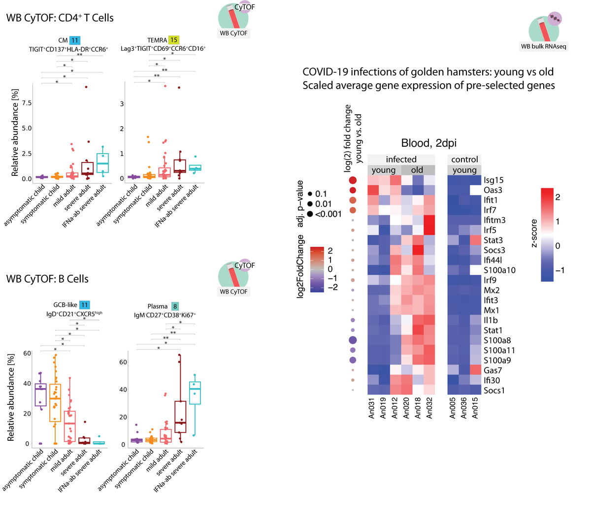 Sawitzki Lab tweet media