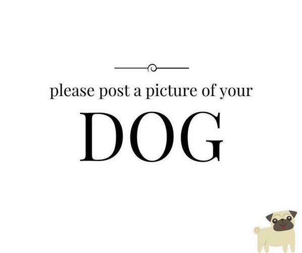♡ .˚⊹ 𝓂𝒶𝒹𝑒𝓁𝒾𝓃𝑒 𝓂𝒶𝑒 ⊹˚. ♡ tweet media