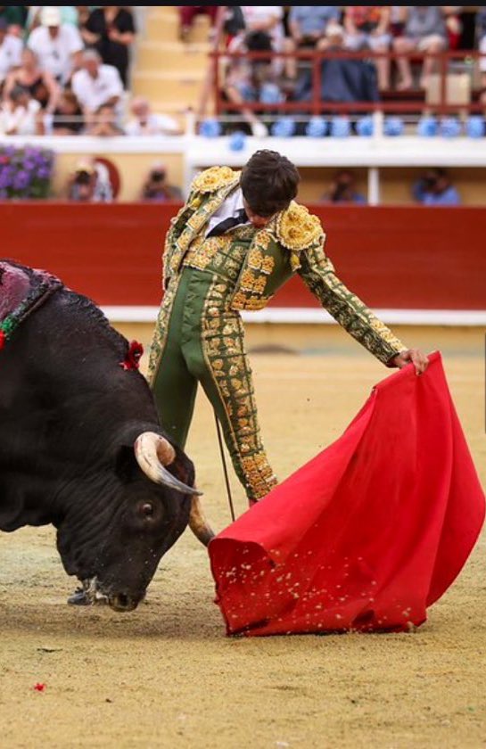 Manuel Diosleguarde tweet media