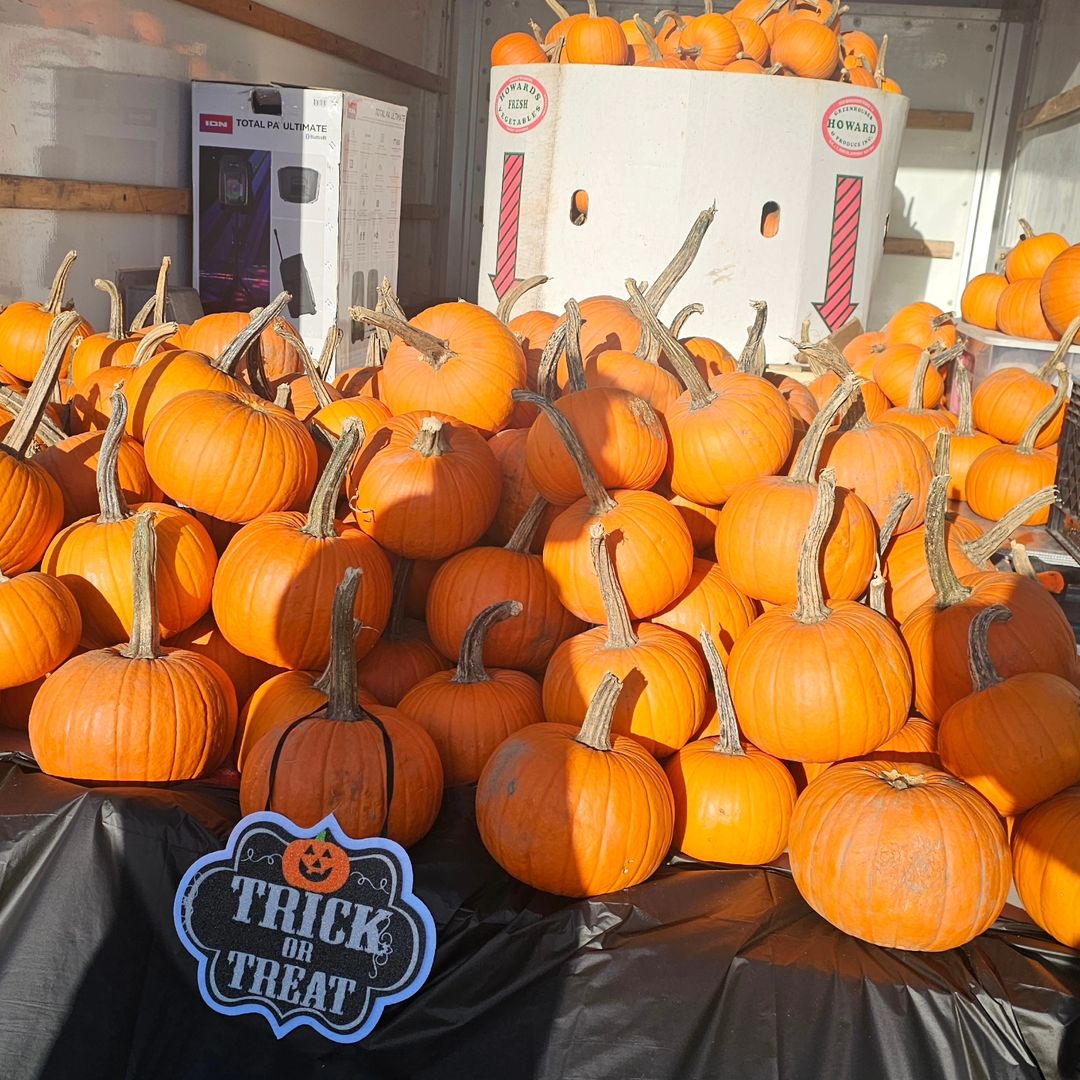 kingswaybia's tweet photo. A few highlights from our spooktacular Pumpkinfest event this past Saturday! Thank you to everyone who joined us along with all the awesome vendors and participants. Wishing you a fun and safe Halloween 🎃 👻
#kingswaybia #pumpkinfest #halloween #fallcelebration #pumpkins https://t.co/0vAzOQbPUW