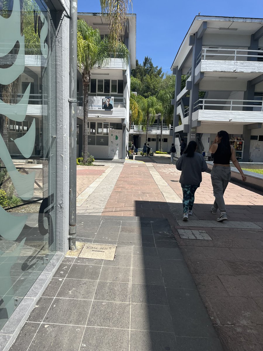 G_fregoso's tweet photo. El @colectivocopera
 arrancó con el proyecto “Estrategias antirracistas y anti opresivas en infancias y juventudes en México” liderado por Fabiola Fernandez  y Gisela Carlos y con el financiamiento de #FondoCanadáMX
@Canada_GTA_
@aldo_mf
@EmbCanMexico
@AmbCanMexique
@CanEmbMexico https://t.co/hxPofV36gJ