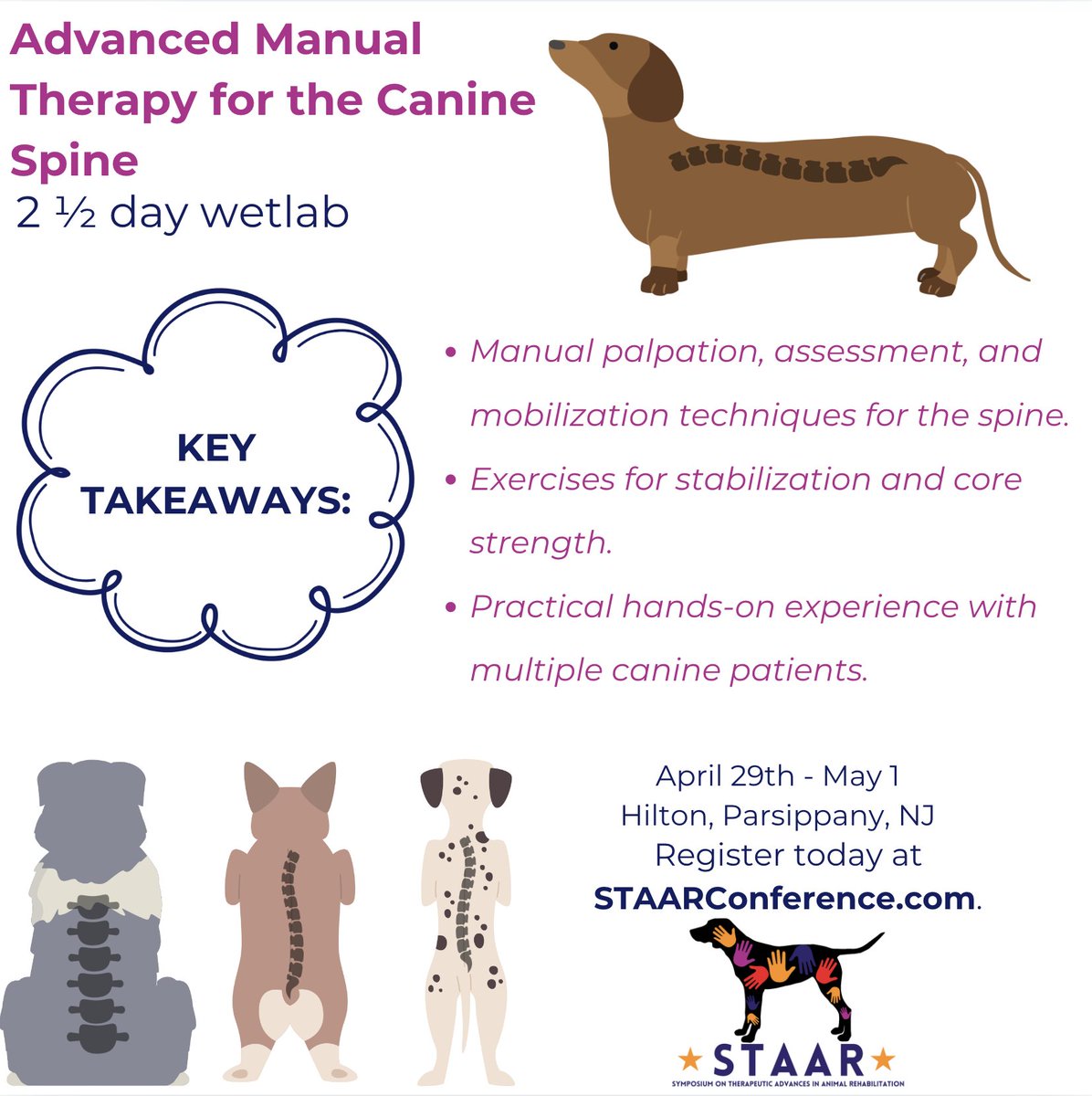 VitalVet4Pets's tweet photo. Register today for our Advanced Manual Therapy for the Canine Spine wetlab - https://t.co/xoADtlC4Sb

#petrehabilitation #dogrehabilitation #petmobility #caninerehab #pettherapy #vitalvet #STAAR https://t.co/vNDAre0vTv