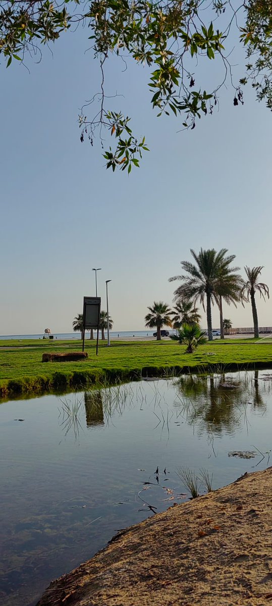 شاطئ العقير بالأحساء