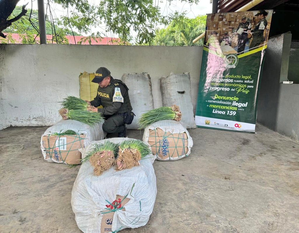 GuajiraPolicia's tweet image. Protegemos el agro y la salud de la ciudadanía. En #Maicao evitamos la comercialización de 220 kilos de productos cárnicos sin los requisitos sanitarios exigidos por @invimacolombia y 1.049 kilos de alimentos perecederos #TodosContraElContrabando