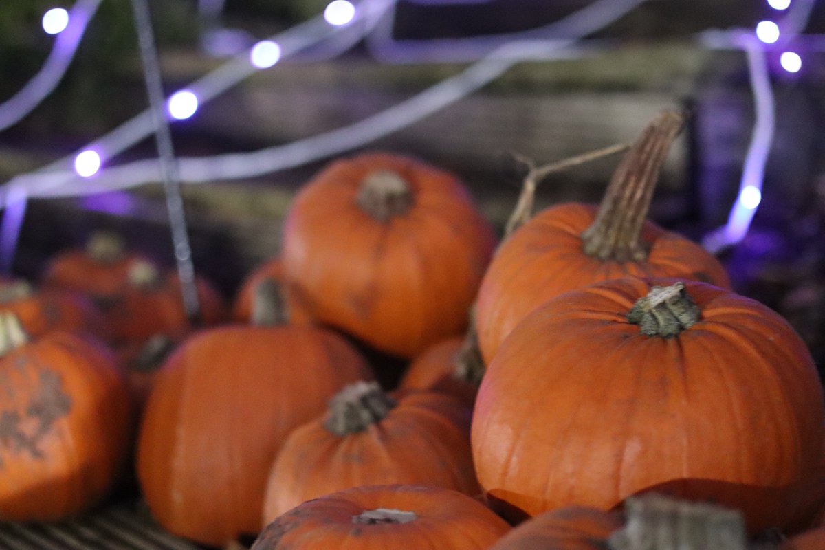 Wakefield Hospice tweet media