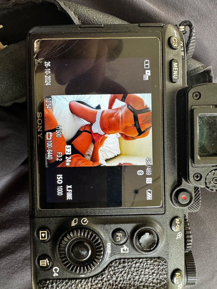 叶藏photo tweet media