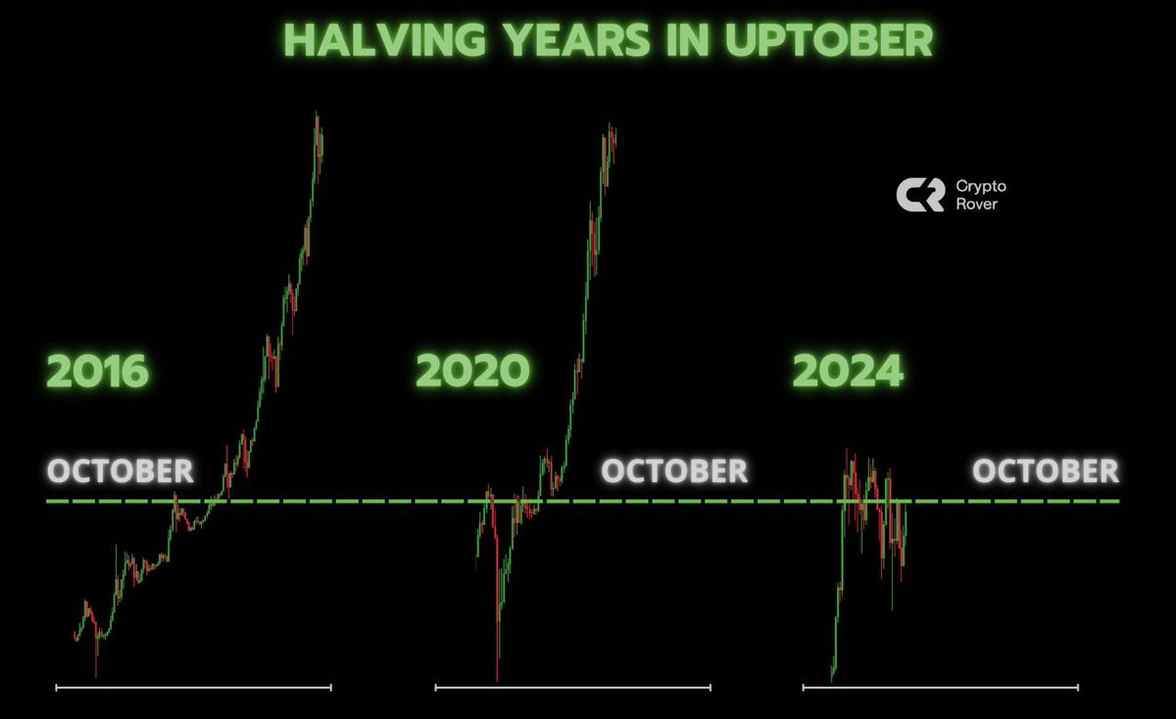 Hey, it's Joe Heenan!