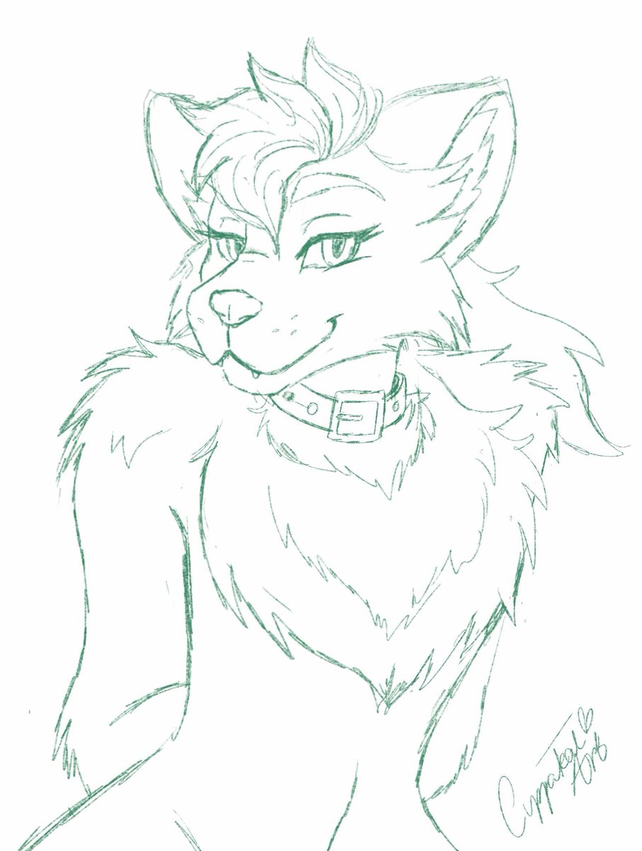 Okay a rough first attempt at furry art 🙈
No idea what I'm doing 🤣🤣 thoughts?? Tips?? 
Pose was picked out by a friend! 
#furry #furryart #wip