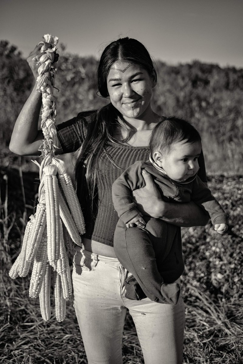 In May 2023, they planted Tuscarora white corn, crooked neck squash,  800-year-old squash, sunflowers, Kahnawake pole beans, yellow eyed  Oneida bean, burnt house black beans, and cornbread beans; some seeds had been given, traded, or brought for the planting. #KernelsOfCulture