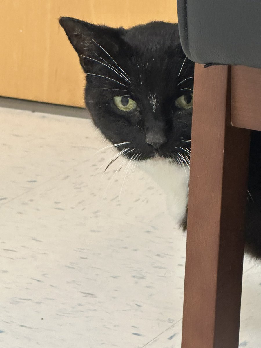 Find me on BlueSky as @itsdlevy.me tweet media