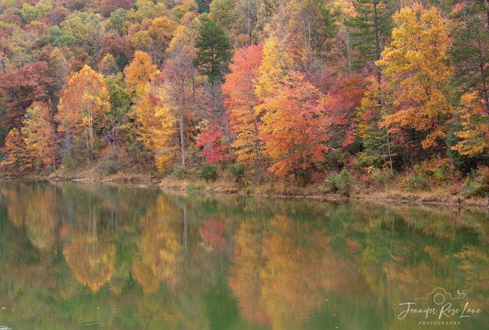 Jens_Starry_Sky's tweet photo. Fall reflections 😍🍂🍁 #UpperMudRiverLake #FallinWV #WV @ThePhotoHour @GoToWV @WSAZBrandon @JoshFitzWx @SpencerWeather https://t.co/zfQFgZOuRV