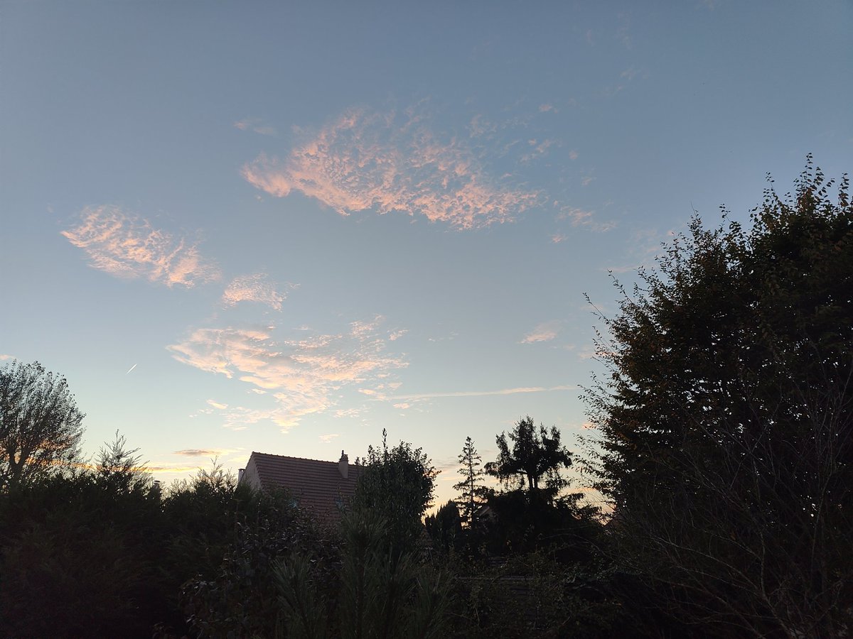 NgRubix tweet picture