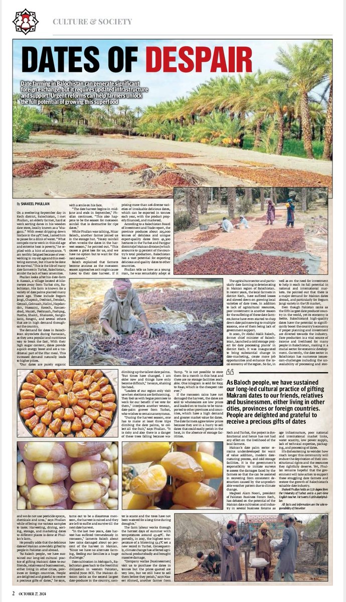 Shakeelphullan's tweet photo. Urgent reforms can help Balochistan’s date farmers unlock the full potential of growing this superfood. 
@etribune
@ETribuneMag
https://t.co/QfwJUyfYP1 https://t.co/W41Je11Zcw