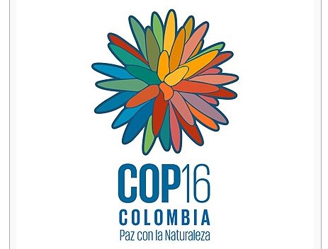 AccessInfos📖🖊 tweet media