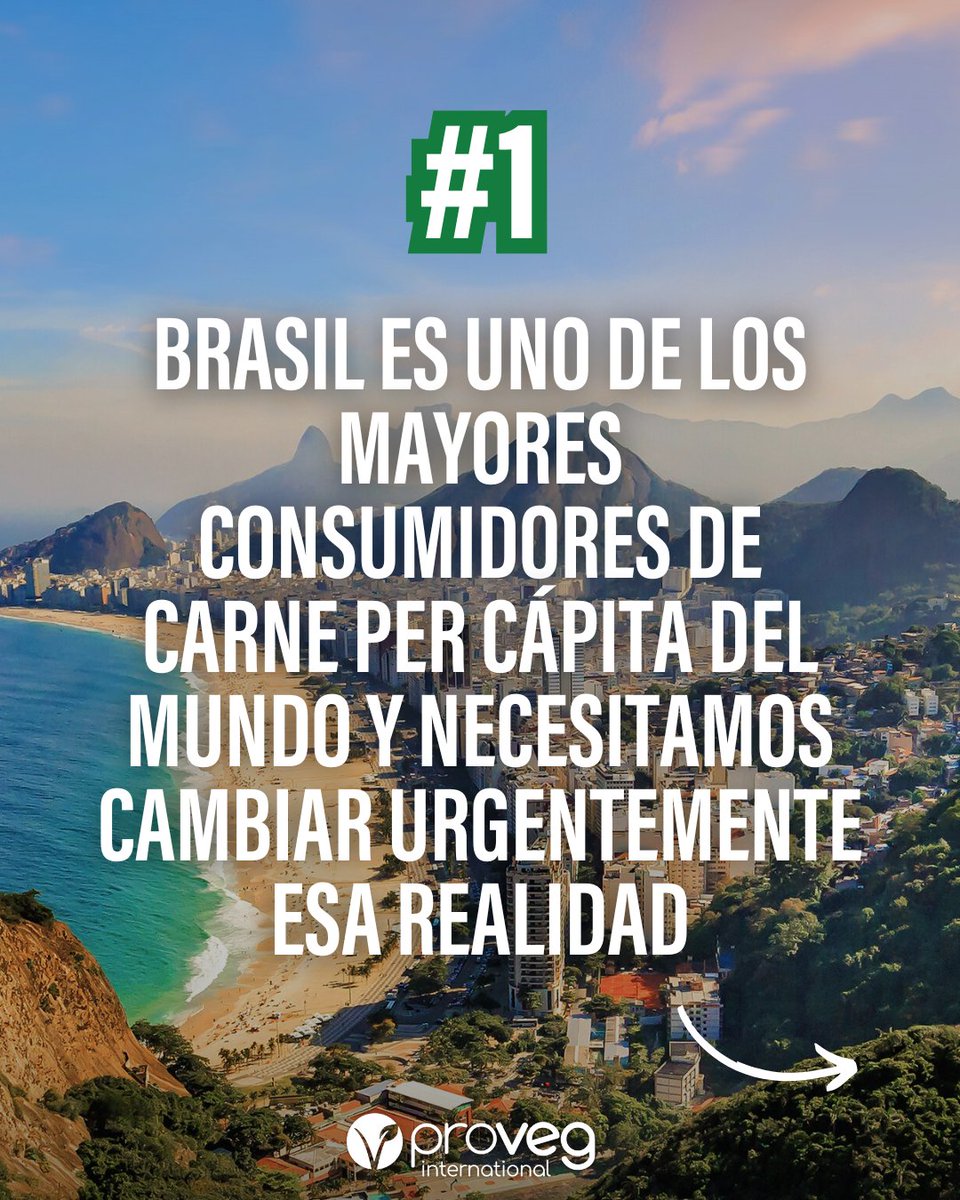 ProVeg España 🌱 tweet media