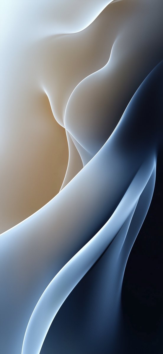 Sean Kelly tweet media