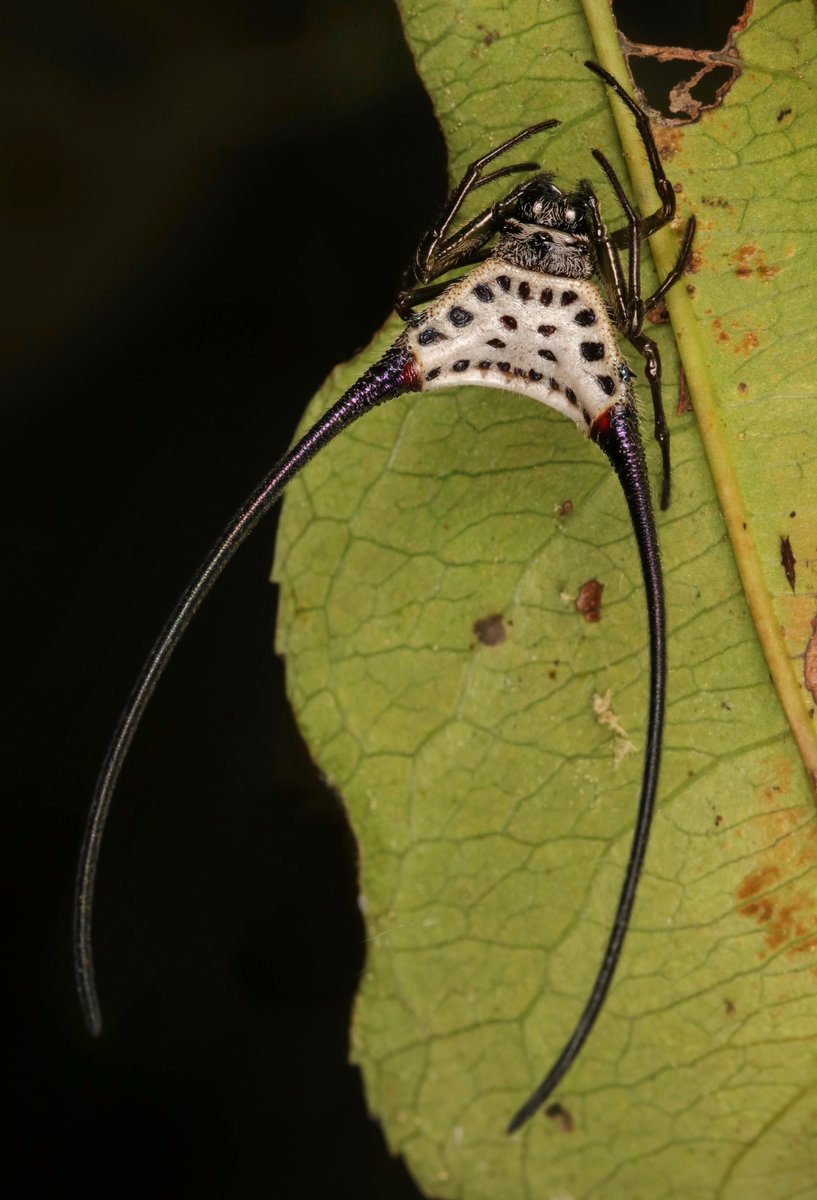 John Horstman tweet media