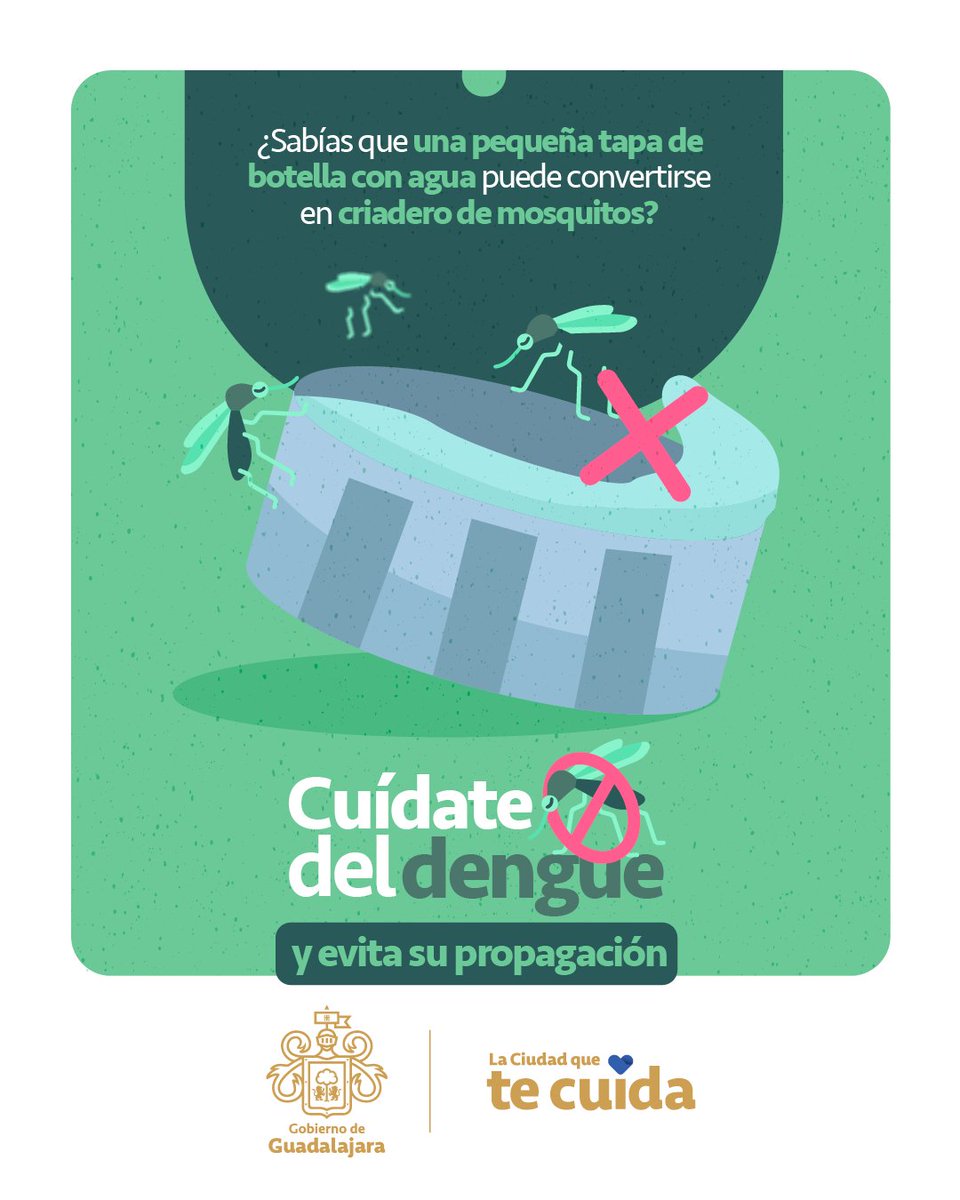 GuadalajaraGob's tweet photo. Erradicar el mosquito transmisor del dengue es tarea de todas y todos:

Lava, tapa, voltea y tira objetos que puedan acumular agua, solo así evitaremos que este mosquito se siga reproduciendo. 🦟🚫 ¡Ayúdanos a pasar la voz! https://t.co/aedRsP6CXS
