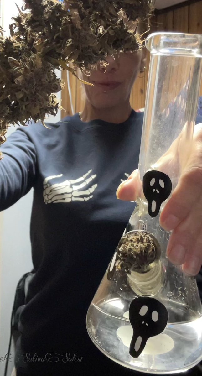 sativasoles1's tweet photo. 👻OOOOO spoooooky sativas beautiful #StonerFam #CannaLand #Growmies #CannabisCommunity🤟💚 #GrowYourOwn #MondayMotivaton #SpookySeason #SativaFan #HalloweenWeek #LegalizeIt #Croptober #GirlGrower #SpookyBong #BongBabe #ImaMakeYouSmile👻 https://t.co/auTSoVkBwm