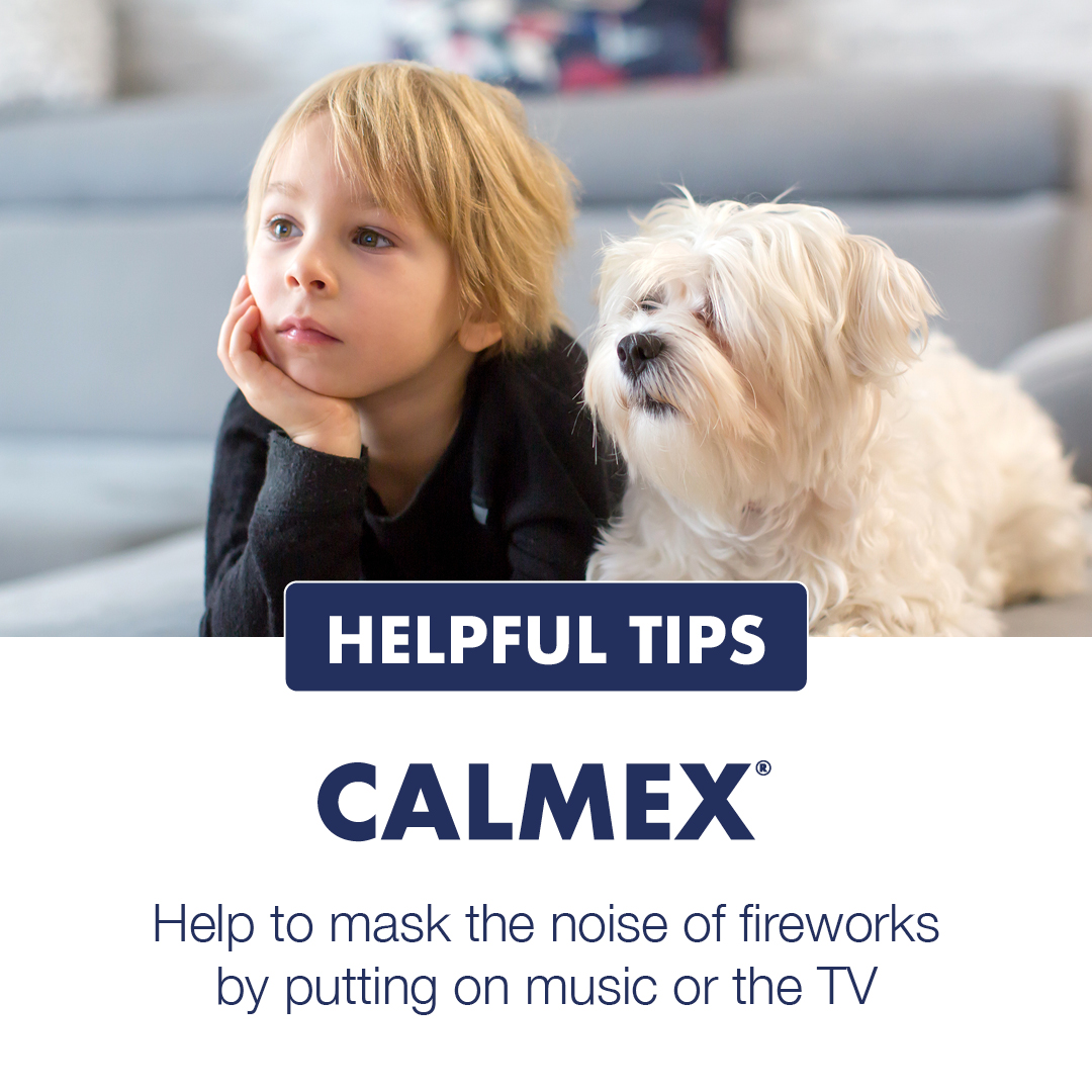 VetPlusUK's tweet photo. Fireworks can be particularly distressing for dogs and cats due to their sensitivity to loud, sudden sounds and bright flashes.

Here are some tips and tricks to help prepare your dog or cat for fireworks season. https://t.co/vGmYa2IJoP