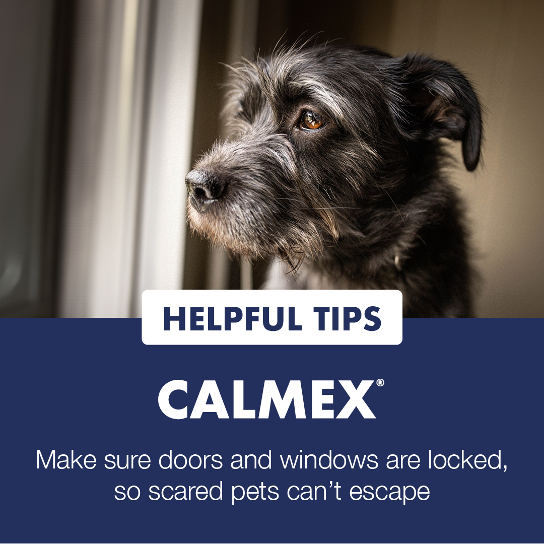 VetPlusUK's tweet photo. Fireworks can be particularly distressing for dogs and cats due to their sensitivity to loud, sudden sounds and bright flashes.

Here are some tips and tricks to help prepare your dog or cat for fireworks season. https://t.co/vGmYa2IJoP