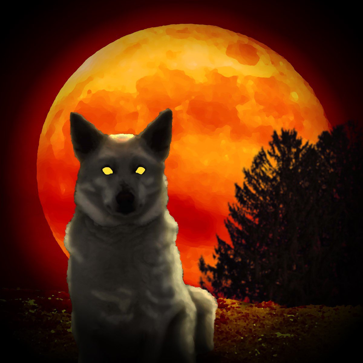 A Wolf Before the Storm, the first book in the Wolves of Stormfall Series, will be having a free eBook promotional this week - Mon Oct 28 through Wed Oct 30.

Come join the adventure, as Callisto seeks vengeance on the empire which murdered her kin.

amazon.com/gp/aw/d/B0CJRY…