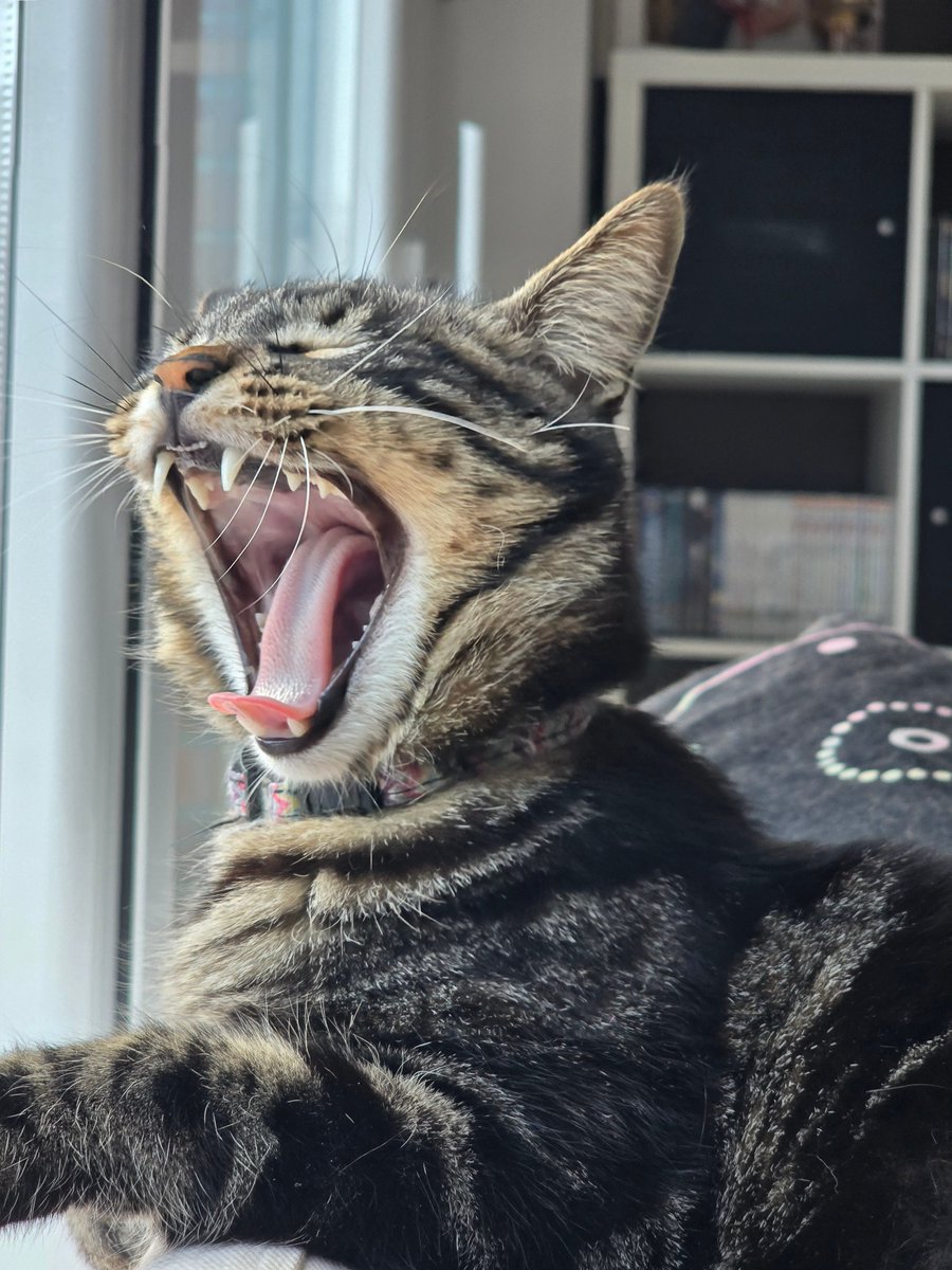 Alejandro Aróstegui tweet media