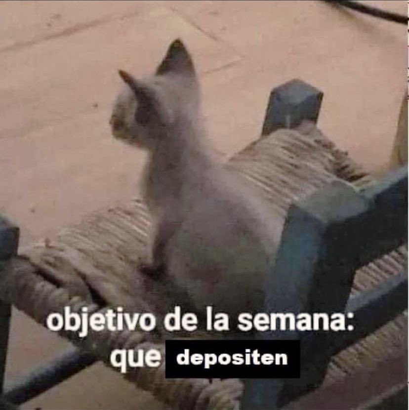 Gatitos Que Curan Tu Depresion tweet media