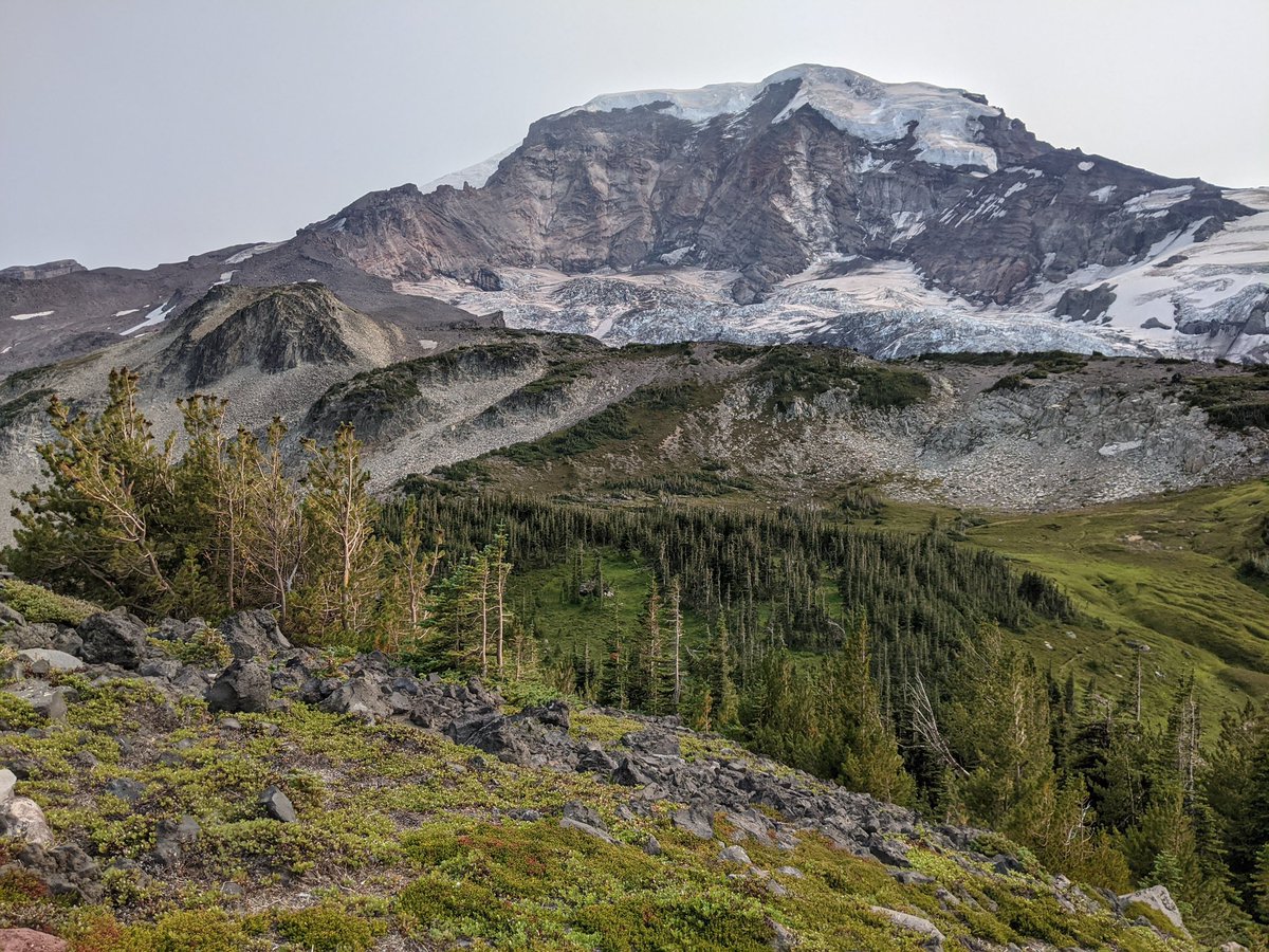 Calling all #whitebark nerds! 🌲🤓 <a href="/AmericanForests/">American Forests</a> is hiring a whitebark pine ecologist who will work with <a href="/MountRainierNPS/">MountRainierNPS</a> , <a href="/NCascadesNPS/">North Cascades NPS</a> , and <a href="/OlympicNP/">Olympic NPS</a> to develop a WBP conservation plan for the parks. Learn more here: workforcenow.adp.com/mascsr/default…