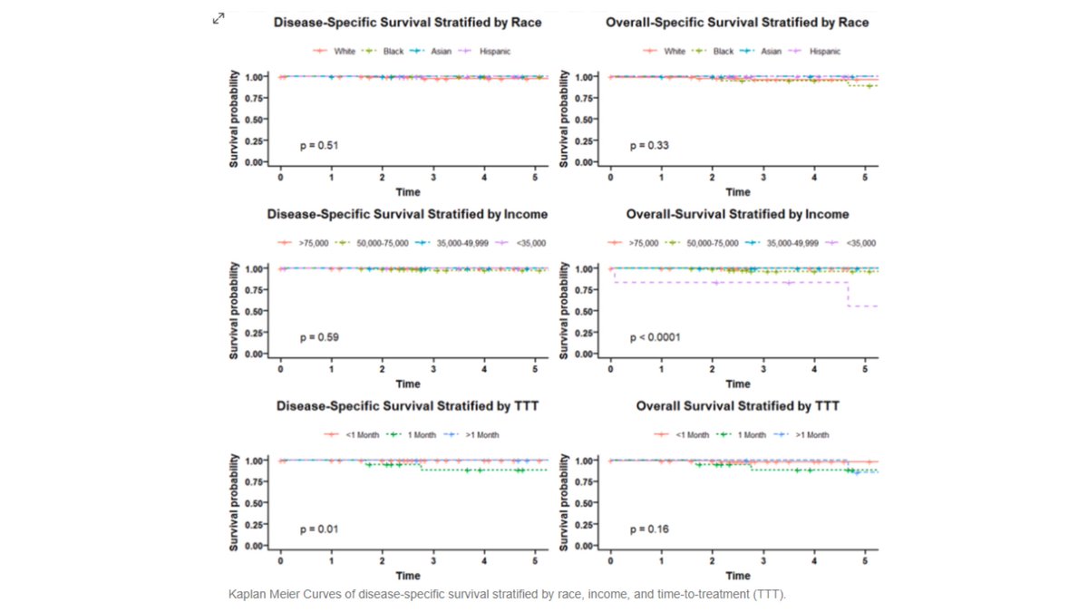 VUMC Otolaryngology–Head and Neck Surgery (@vanderbiltent) on Twitter photo Parotid gland malignancies cause significant morbidity in kids. Data reveals racial/ethnic disparities in tumor size at presentation and survival outcomes. Underrepresented groups face higher risks. #HealthEquity <a href="/RahulKSharmaMD/">Rahul K. Sharma, MD</a> <a href="/johnceremsak/">John Ceremsak</a> <a href="/rhbelcher/">Ryan Belcher, MD MPH</a> pubmed.ncbi.nlm.nih.gov/39217865/ Parotid gland malignancies cause significant morbidity in kids. Data reveals racial/ethnic disparities in tumor size at presentation and survival outcomes. Underrepresented groups face higher risks. #HealthEquity <a href="/RahulKSharmaMD/">Rahul K. Sharma, MD</a> <a href="/johnceremsak/">John Ceremsak</a> <a href="/rhbelcher/">Ryan Belcher, MD MPH</a> pubmed.ncbi.nlm.nih.gov/39217865/