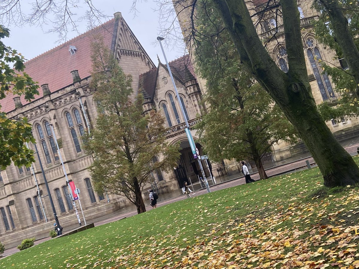 GMAnalysts tweet media