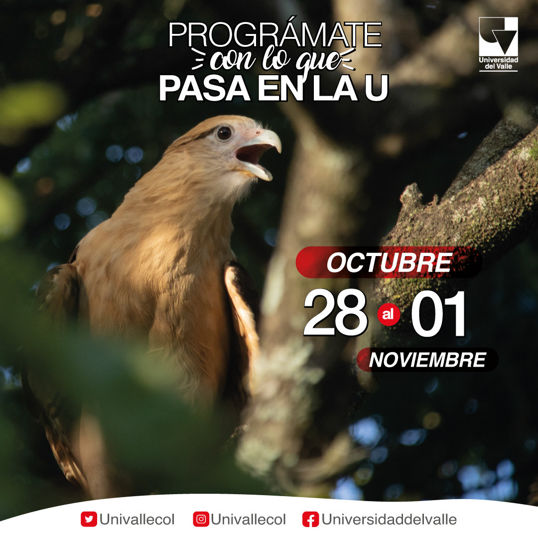 UnivalleCol's tweet photo. #AgendaUnivalle 🌟 Esta semana, disfruta de concursos, festivales, cine y talleres en #univalle 🍃 Parte de la agenda #COP16Coolombia. Consulta 👉 https://t.co/vmCeMhm0a5 #CaliCultural #EducaciónParaTodos #UnivalleEsCalidad https://t.co/G4ZcM5mhSC