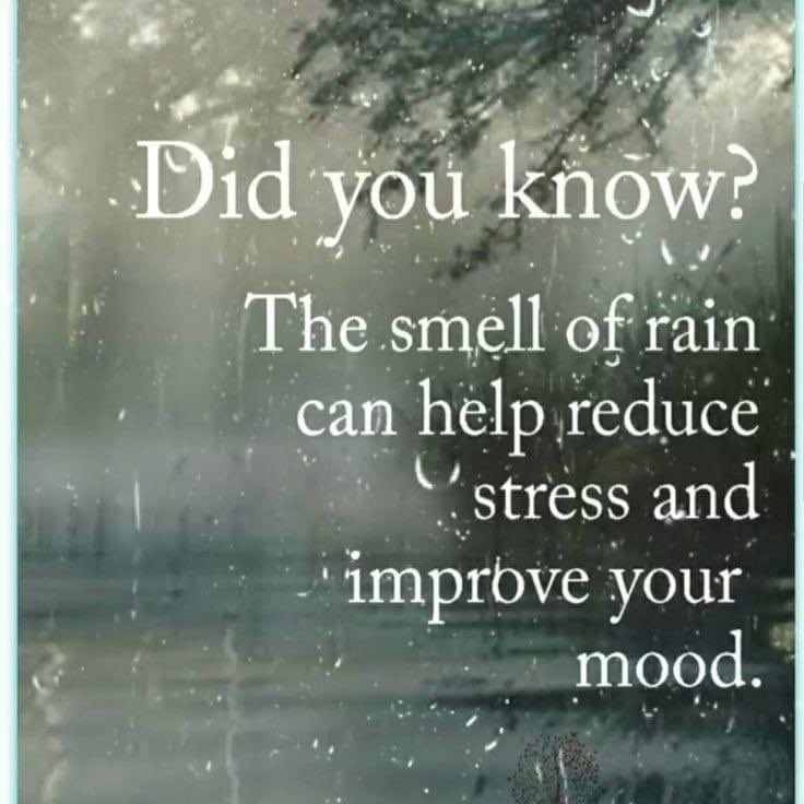 ⚓️ Dr Vic Carr ⚓️ tweet media