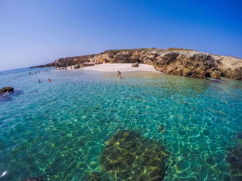 VallartaPtours's tweet photo. Disfruta de un día de sol, playa y aventura en las Islas Marietas. 🏝

Mas información: https://t.co/sLH9PRnAMn

 #IslasMarietas #PlayaNopalera #México #ParaísoEscondido #Snorkel #Aventura #Naturaleza #Belleza #Viajes #Vacaciones #ExploremosMéxico #UnicoeInolvidable 🤩 https://t.co/SxSDwOw7pW