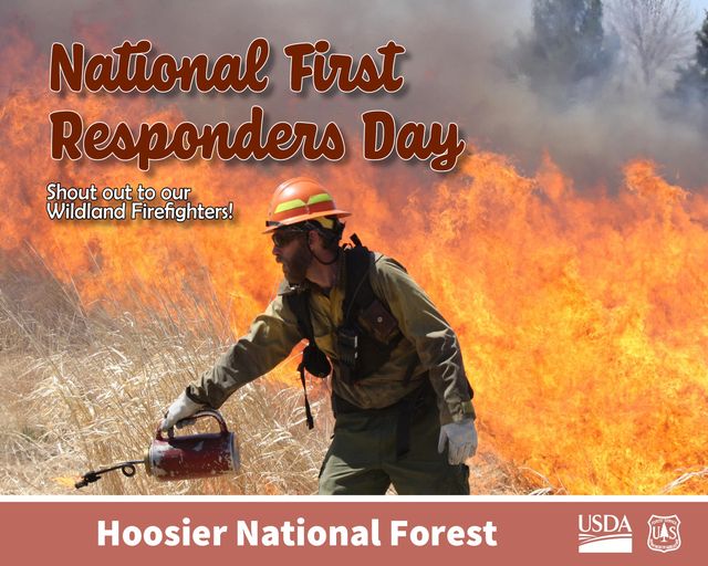 Hoosier National Forest tweet media