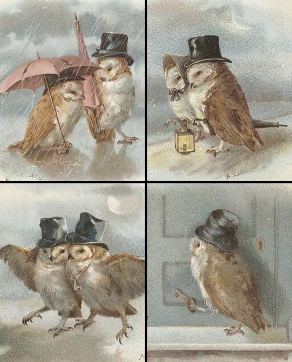 Victorian owls had amazing style