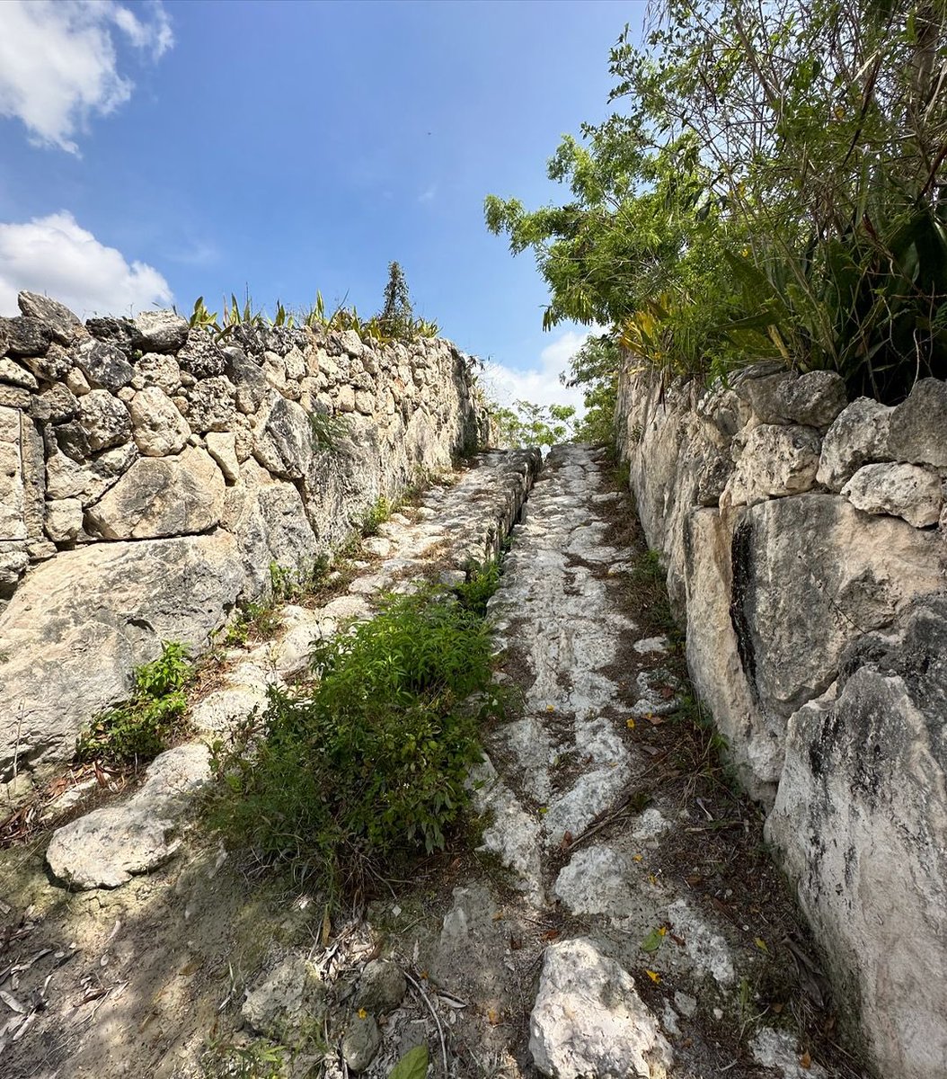 ¿Ya tienes en mente quién será el copiloto que te ayude a superar esta pista? 😎 🛞 📍 #Xavage