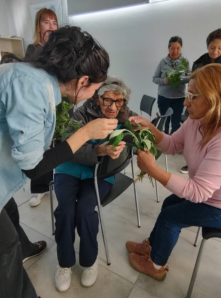 LadioAna's tweet photo. En el marco del programa Territorio Científico para Estudiantes, del CCT Patagonia Norte @INIBIOMAConicet dimos un taller sobre plantas digestivas junto con la Escuela de Adultos N.9, fotos de las alumnas entusiasmadas
#etnobiologia #divulgacioncientifica https://t.co/J9EbxRaft4