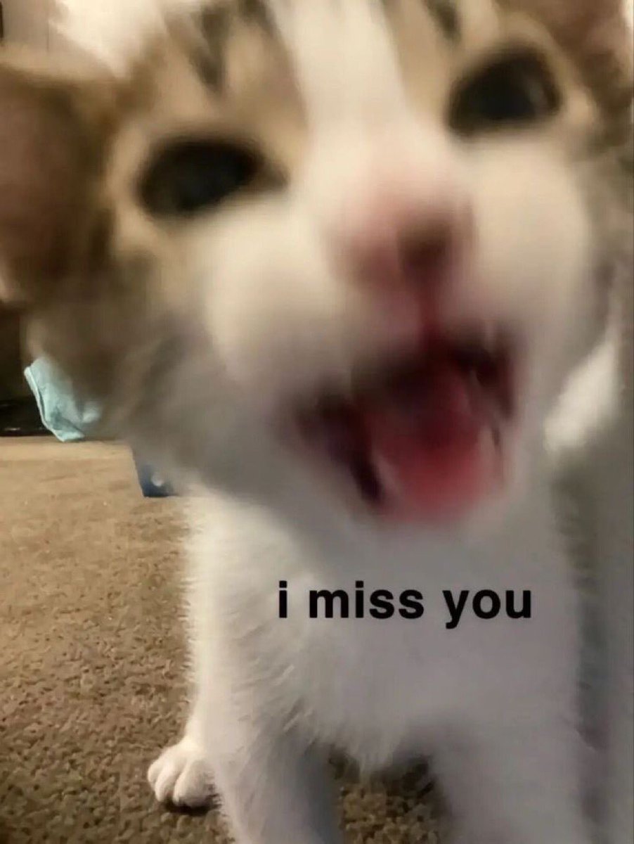 Lily 🏳️‍⚧️ tweet media