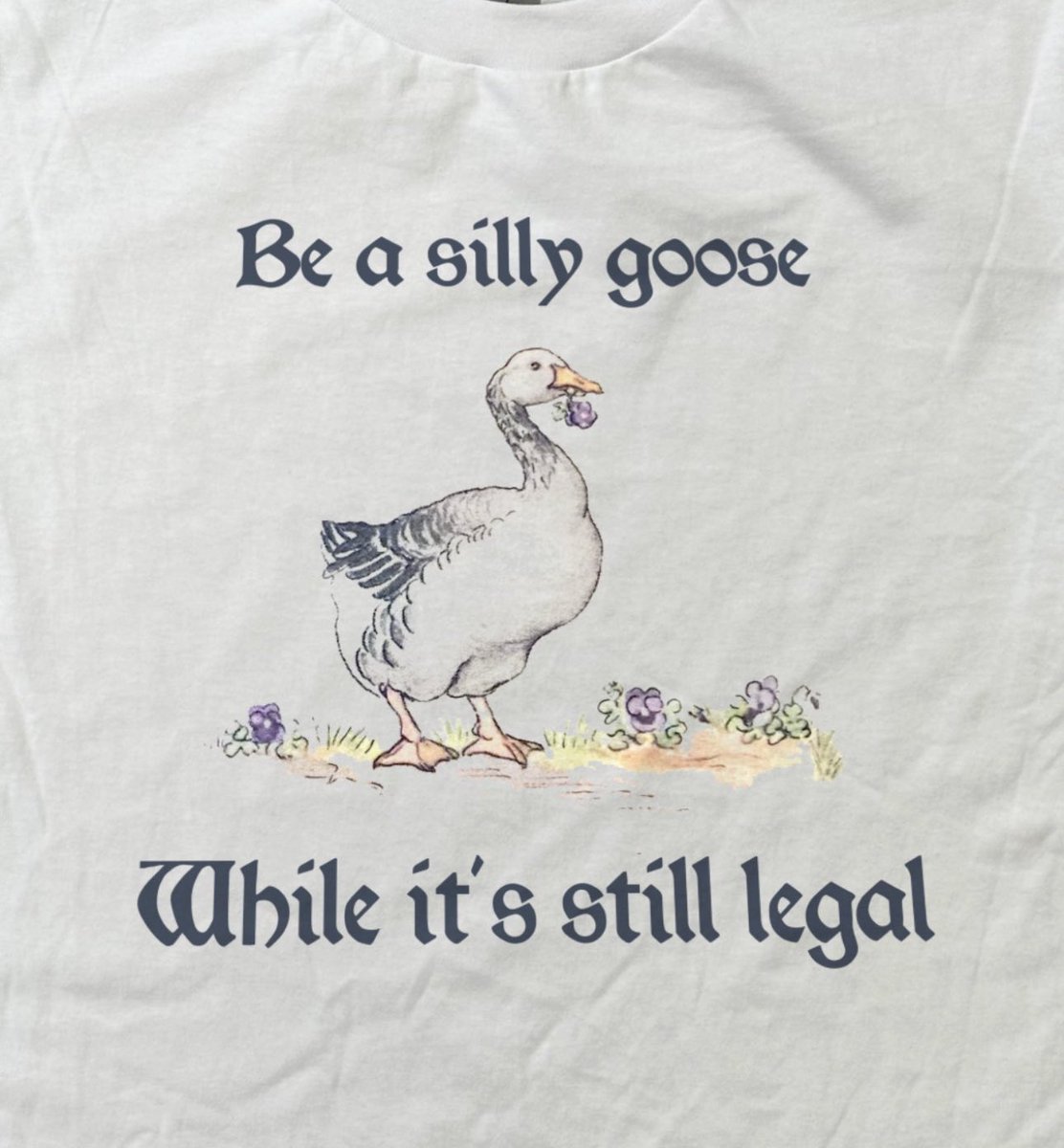 shirtsthtgohard's tweet image. 